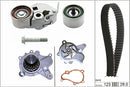 INA Water Pump & Timing Belt Set - Part No - 530054231