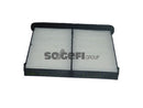 Fram Cabin / Pollen Filter - CF11811