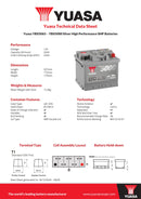 Yuasa 12V 52Ah 520A  Silver High Performance Battery - YBX5063