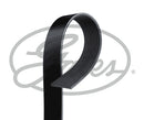 Gates Fleetrunner Mv - 10PK2220HD