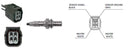 Intermotor Oxygen Sensor - 64889