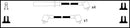 Intermotor Ignition Lead Set - 73606