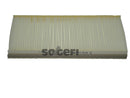Fram Cabin / Pollen Filter - CF8831