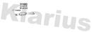 Klarius 311682 - Catalyst Type Approved  - Fits Nissan X-Trail 2.0i,2.5i
