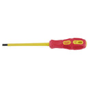Draper Expert 125x5.5MM Plain SL.-INS  (PKD) - 69214