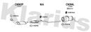 Klarius CN562P - Box With Front Pipe  - Fits Citroen Berlingo 1.9D