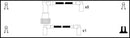 Intermotor Ignition Lead Set - 76242