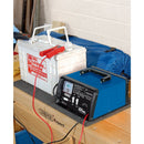 12/24V 10.3A Battery Charger