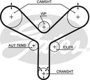 Gates PowerGrip Belt - T298