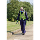 D20 20V Backpack Sprayer, 12L (Sold Bare)