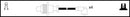 ElectroSpark Ignition Lead Set - OEK082