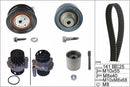 INA Water Pump & Timing Belt Set - Part No - 530036130