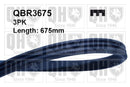 QH V-Ribbed Drive Belt - QBR3675