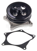 Borg & Beck Water Pump - BWP2409