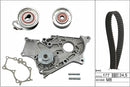 INA Water Pump & Timing Belt Set - Part No - 530026930