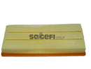 Fram Air Filter - CA10051