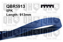 QH V-Ribbed Drive Belt - QBR5913
