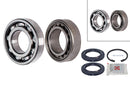 FAG Wheel Bearing Kit - 713611550
