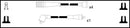 Lemark Ignition Lead Set - HOES841