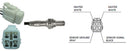 Intermotor Oxygen Sensor - 64803
