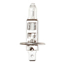 Napa Consumables 12V 55W H1 P14.5s Halogen Headlamp Bulb - NBU1448