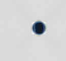 Fuel Parts Exhaust Pressure Sensor - MS203
