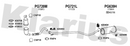 Klarius PG720M - Centre Pipe  - Fits Citroen Berlingo 1.6HDi