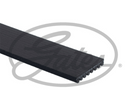 Gates Fleetrunner Mv - 8PK1915HD