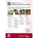 Hse Health & Safety Law Poster - A2 - FHSE1