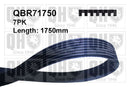 QH V-Ribbed Drive Belt - QBR71750