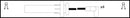 Lucas Ignition Lead Set - LUC7248
