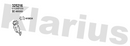 Klarius 325216 - Catalyst Type Approved Withpip  - Fits Honda CR-V III 2.0i (RE5, RM1)