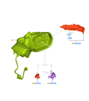 Genuine Ford Mirror Assy - Rear View Outer - 2477531