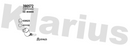 Klarius 390572 - Diesel Particulate Filter  - Fits BMW X3 2.0d (sd, xDrive)