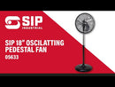 SIP 18" Oscillating Pedestal Fan
