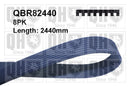 QH V-Ribbed Drive Belt - QBR82440