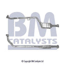 BM Cats Approved Petrol Cat - BM91171H