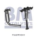 BM Cats Approved Petrol Cat - BM91539H