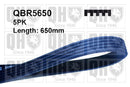QH V-Ribbed Drive Belt - QBR5650