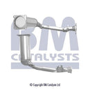 BM Cats Approved Petrol Cat - BM91148H
