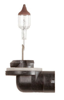 Ring 12V 27W PG13J Halogen Headlamp