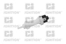 Igntion Brake Light Switch - XBLS12