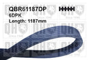 QH V-Ribbed Drive Belt - QBR61187DP