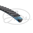 Gates V Belt - 7M950