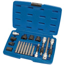 Alternator Pulley Tool Kit (18 piece)