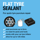 Ring Flat Tyre Sealant - RTS450