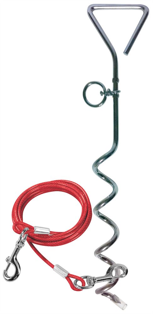 Dog Anchor with Tether