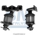 BM Cats Approved Petrol Cat - BM92550H