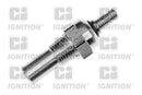 Coolant Round Temperature Transmitter Sensor - XTT71