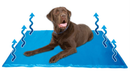Pet Cool Mat 95 x 80cm